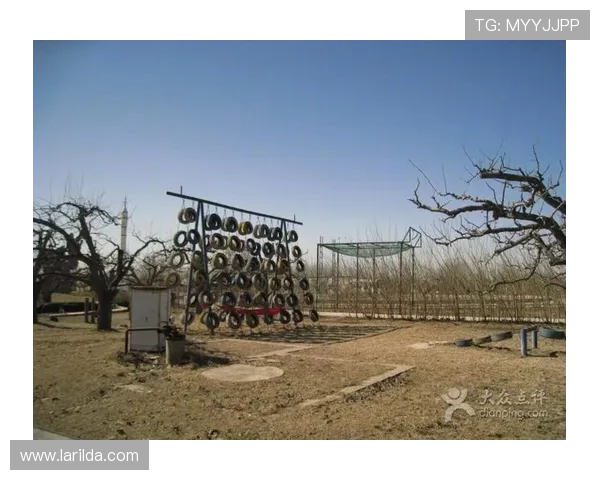 开云真人体育娱乐：专业团队打造的高品质真人体育娱乐体验服务