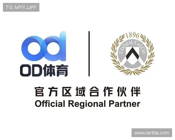 OD体育数字站用户反馈与案例分析，持续优化服务质量满足用户多样化期待